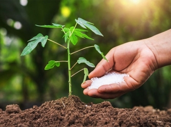 TIN TỨC NGÀNH PHÂN BÓN TRÊN THỊ TRƯỜNG HIỆN NAY: NHỮNG CHUYỂN BIẾN NỔI BẬT 