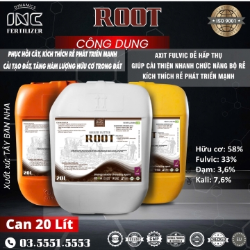 ROOT – KÍCH RỄ, PHỤC HỒI CÂY