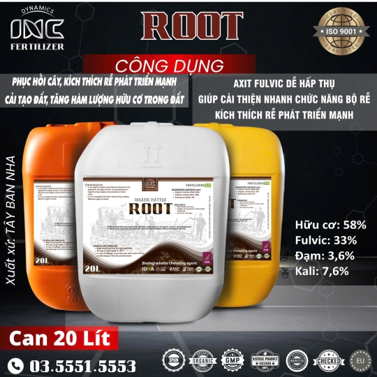 ROOT – KÍCH RỄ, PHỤC HỒI CÂY