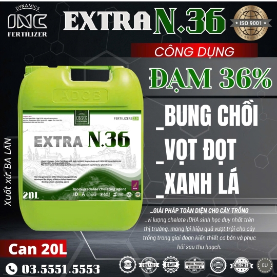 EXTRA N.36