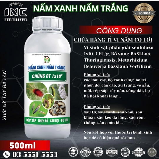 NẤM XANH – NẤM TRẮNG CHỦNG BT 1×10⁸